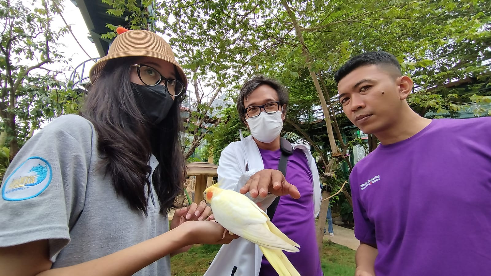 Menikmati Atraksi Burung Unik Di Jakarta Bird Land Ipol Id