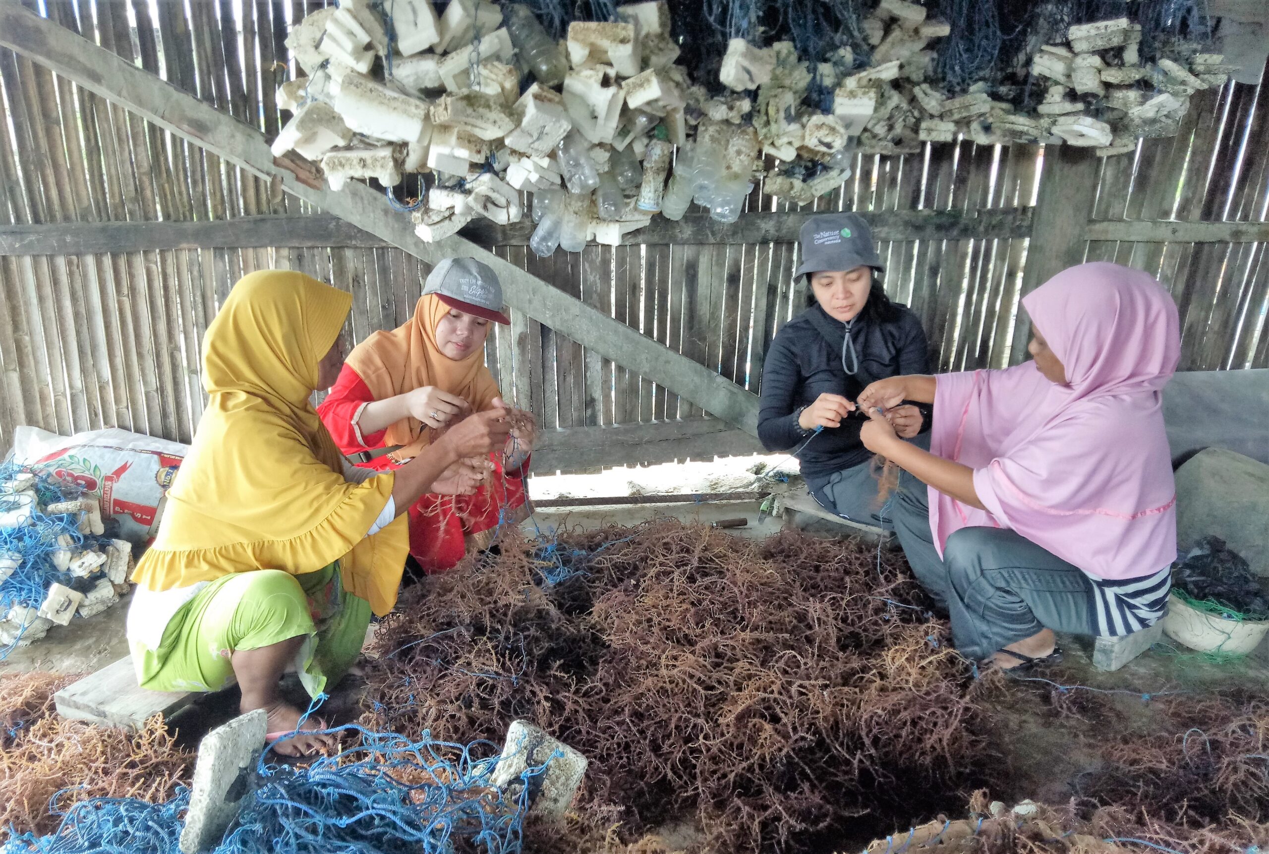 FedEx Dan YKAN Dorong Petani Rumput Laut Wakatobi Lestarikan Lingkungan