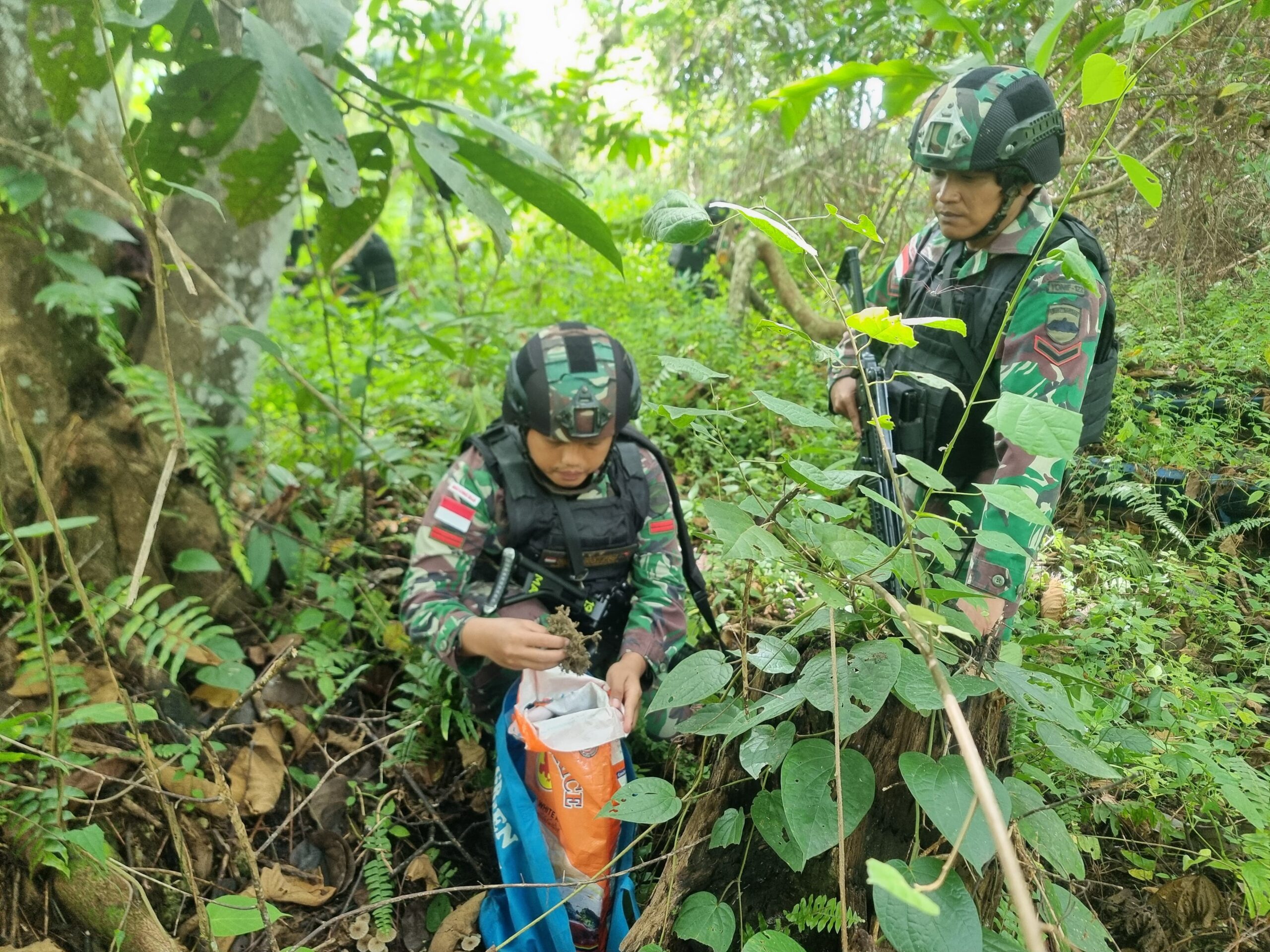 Satgas Yonif Ts Kembali Temukan Narkoba Jenis Ganja Kering Seberat