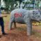 Taman Gajah