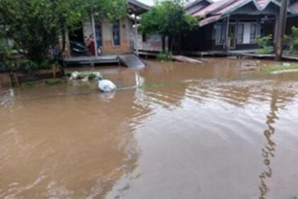 29fae50a c677 4842 80db 2fd04487f17f