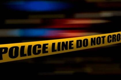 4e403e0a 90cb 42e8 888f 8e45a2f677d5