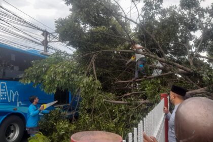 7b416632 8055 45b8 b46c 25736e45dee8