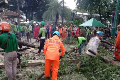 89270e61 3ecd 479f 9b55 742cbdfc4a8b