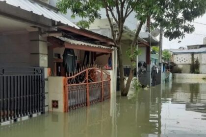 Screenshot 20221113 205512 Gallery.jpg