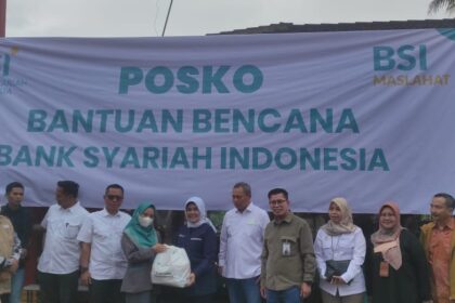 bsi 1