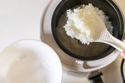 d3995a9d dc14 4610 8e73 c8e3d5248794 169