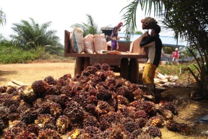 f0b6fb8e 35d8 40f6 94c4 a9d7138fdb79