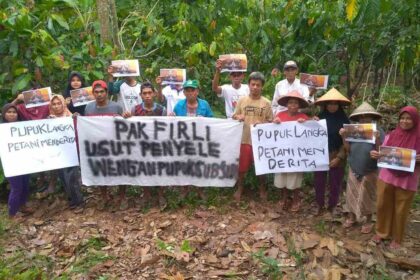 petani kakao