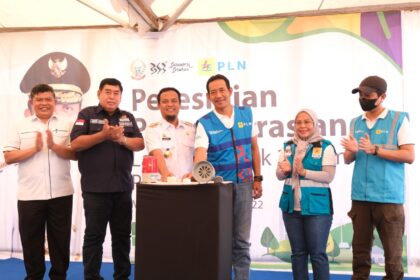 pln 8