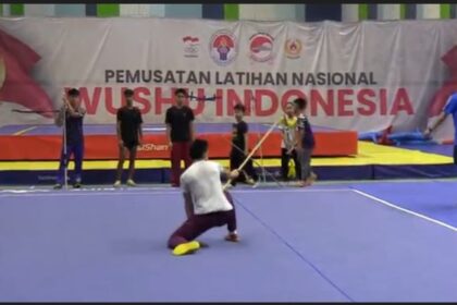 wushu 1