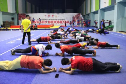 wushu 2