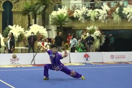 wushu