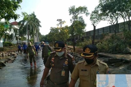 40c25378 91ff 4967 9367 4b78c5ad9b84