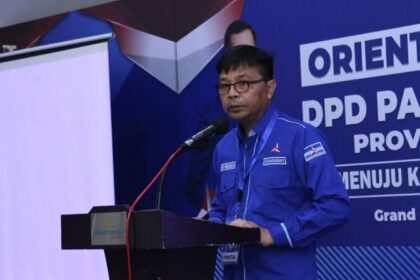 Ardi Wirdamulia Demokrat
