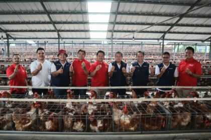 a3ca54dd 228a 4e09 98bb f1890044c3ac