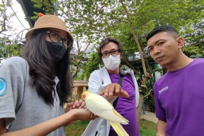 Ancol Bird Land
