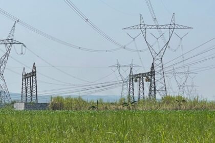 d235e219 f0cb 4ee7 98ed 75c755d8293a