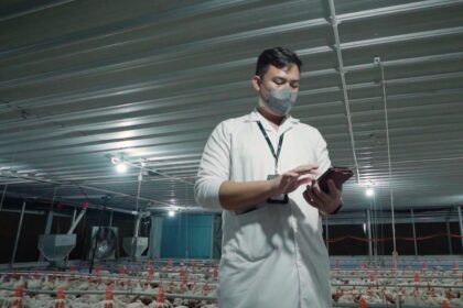 d71dcb3e c362 493e b6d4 64b6a3350310