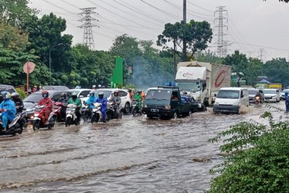 fc87e20c 947c 413c b9cc 8e10379b39e2