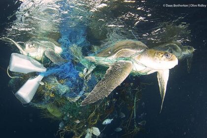 sampah plastik