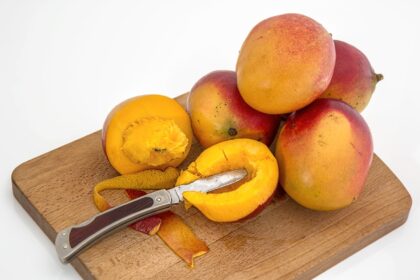 kulit buah mangga