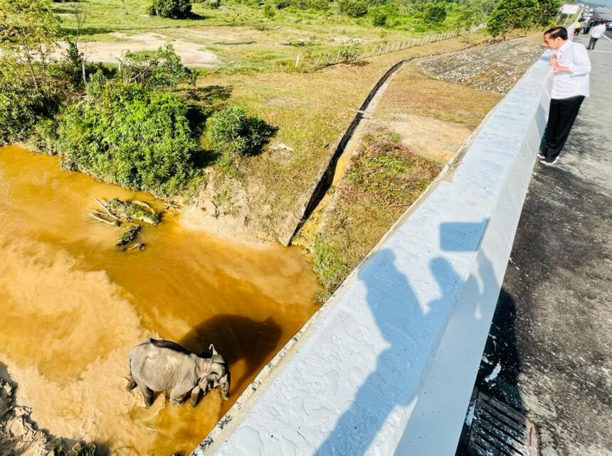 Flyover perlintasan Gajah Sumatera