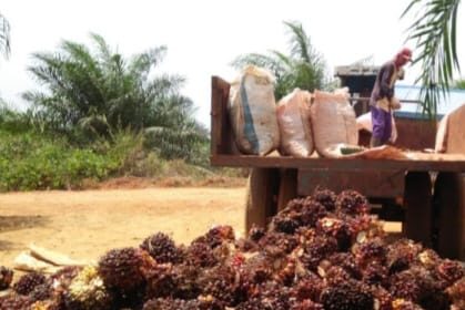 439e6aee 701c 41b2 a372 307be7fb8ffd