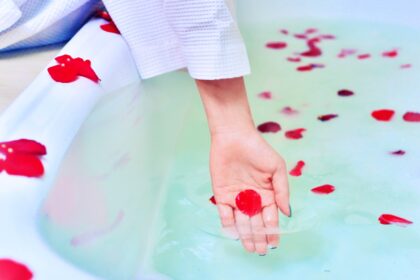 65fece42 1b81 4748 ae18 42f29de0a481