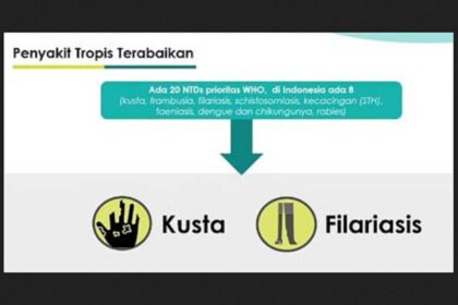PENYAKIT WHP