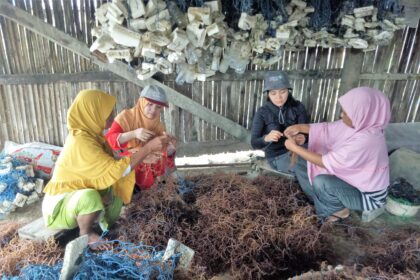 FedEx petani rumput laut