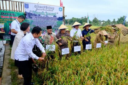 Hasil panen yang merupakan jerih payah masyarakat sekitar dengan bantuan program Tanggung Jawab Sosial dan Lingkungan (TJSL) PT PLN (Persero). Foto: PT PLN (Persero)