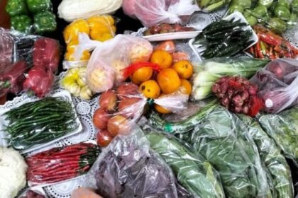 Asupan makan 4 sehat 5 sempurna maupun makanan bergizi lainnya sangat baik bagi para ibu hamil dan pertumbuhan kembang anak. Foto: Dok/ipol.id