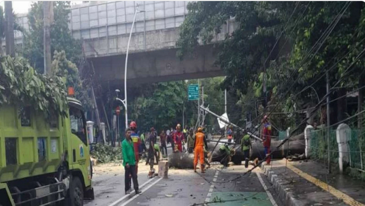 Hujan Angin Di Jakarta Sebabkan Pohon Tumbang Dan Lukai Orang Ipol Id