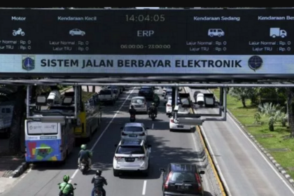 erp1
