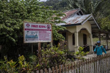 penyakit demam keong