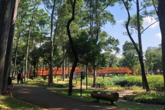 Tebet Ecopark dinobatkan sebagai Taman Kota Terbaik dalam anugerah penghargaan Adipura. Foto: FB Tebet Ecopark