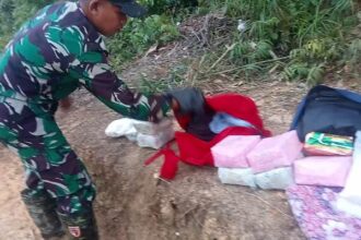Satgas Pamtas RI - Malaysia Yonif 645/Gardatama Yudha saat mengamankan narkoba jenis sabu seberat 12,9 kg. Foto: Dinas Penerangan Angkatan Darat (Dispenad).