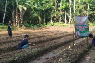 Sukarelawan Ganjar Milenial Banten (GMB) bersama petani milenial Mandalawangi mengadakan workshop di Desa Mandalawangi, Kabupaten Pandeglang, Banten, Jawa Barat, Jumat (24/3). Foto: GMB.