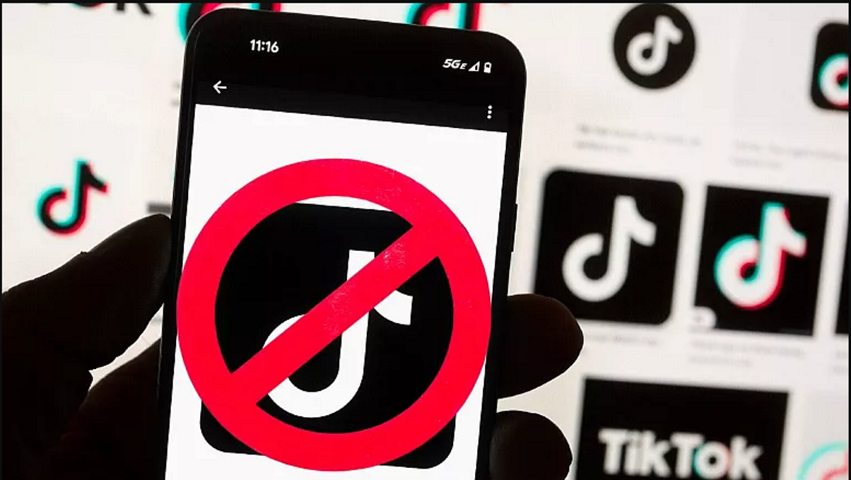 Daftar Negara Yang Melarang TikTok, Mana Saja? – Ipol.id