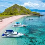 Pink Beach di Pulau Komodo Manggarai Barat NTT