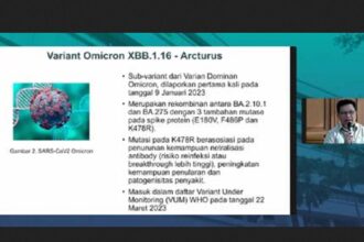 Jumlah kasus positif varian Arcturus di Indonesia bertambah. Foto: Kemenkes