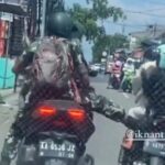 Oknum anggota TNI AU yang diduga menendang pemotor perempuan di kawasan Jatiwarna, Bekasi, Jawa Barat, telah meminta maaf. Foto: Ist