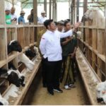 Pemilik Mahir Farm, Alwi Mahir Alaidrus mengatakan bahwa pihaknya siap melaksanakan arahan Mentan SYL terkait pemenuhan daging secara nasional.