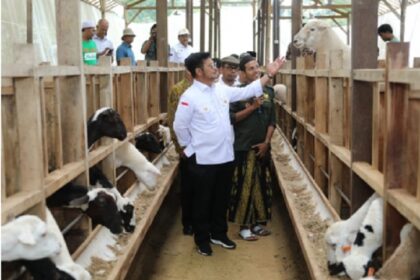 Pemilik Mahir Farm, Alwi Mahir Alaidrus mengatakan bahwa pihaknya siap melaksanakan arahan Mentan SYL terkait pemenuhan daging secara nasional.