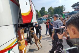 Cegah pengiriman narkoba, aparat Badan Narkotika Nasional (BNN) mengerahkan dua anjing pelacak Unit K9 ke Terminal Kampung Rambutan, Ciracas, Jakarta Timur, Selasa (18/4) pagi. Para sopir bus AKAP juga dilakukan pemeriksaan tes urine di lokasi. Foto: Joesvicar Iqbal/ipol.id