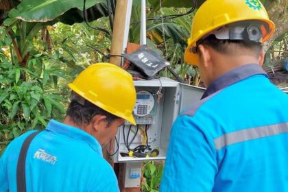 Program electrifying agriculture (EA) PT PLN (Persero) mendorong peningkatan produktivitas petani. Foto: Dok PLN.