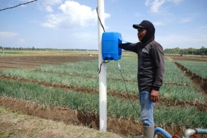 PT PLN (Persero) melalui program electrifying agriculture (EA) terbukti mampu mendorong peningkatan produktivitas dan pendapatan Kelompok Tani (Poktan) Bawang Merah Ngudi Makmur di Kabupaten Bantul, Provinsi Daerah Istimewa Yogyakarta. Foto: PT PLN.