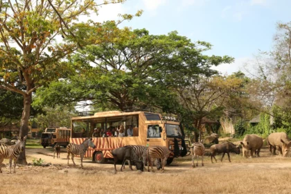 Di musim libur sekolah ini, Taman Safari Bali menyuguhkan atraksi serta potongan harga menarik.