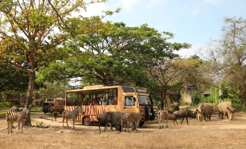 Di musim libur sekolah ini, Taman Safari Bali menyuguhkan atraksi serta potongan harga menarik.